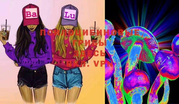 соль ск Новодвинск