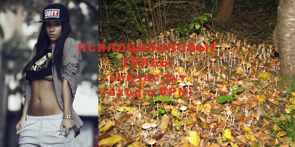 jwh Нефтекумск