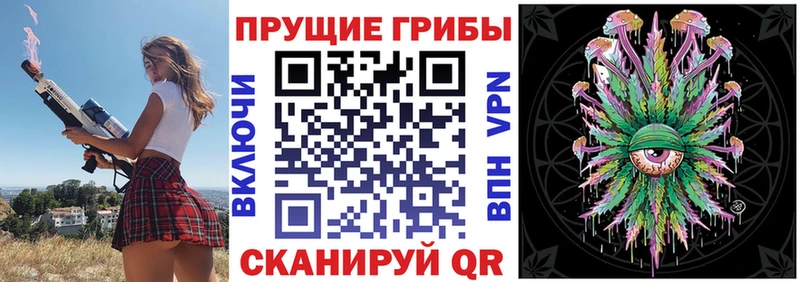 Псилоцибиновые грибы Psilocybe  Купить  Каневская 