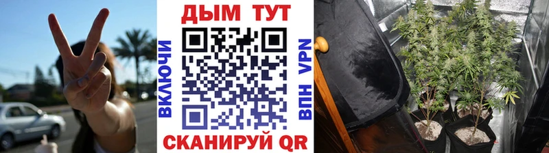 Бошки Шишки Ganja  Купить закладки  Каневская 